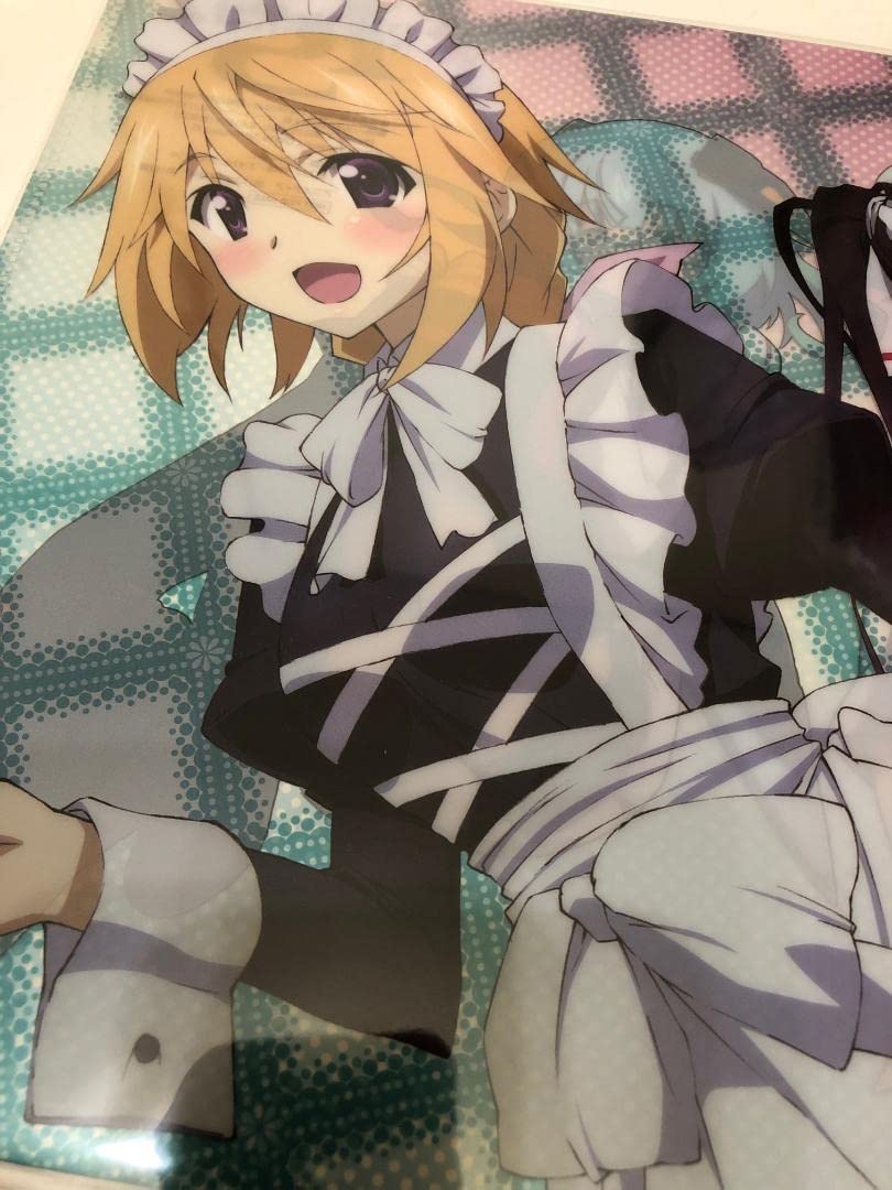 Amazon.co.jp: IS インフィニットストラトス 篠ノ之箒 シャル クリア